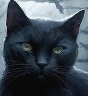 Avatar do usuário
