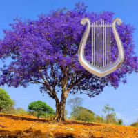 Avatar do usuário