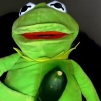 Kermit bengala