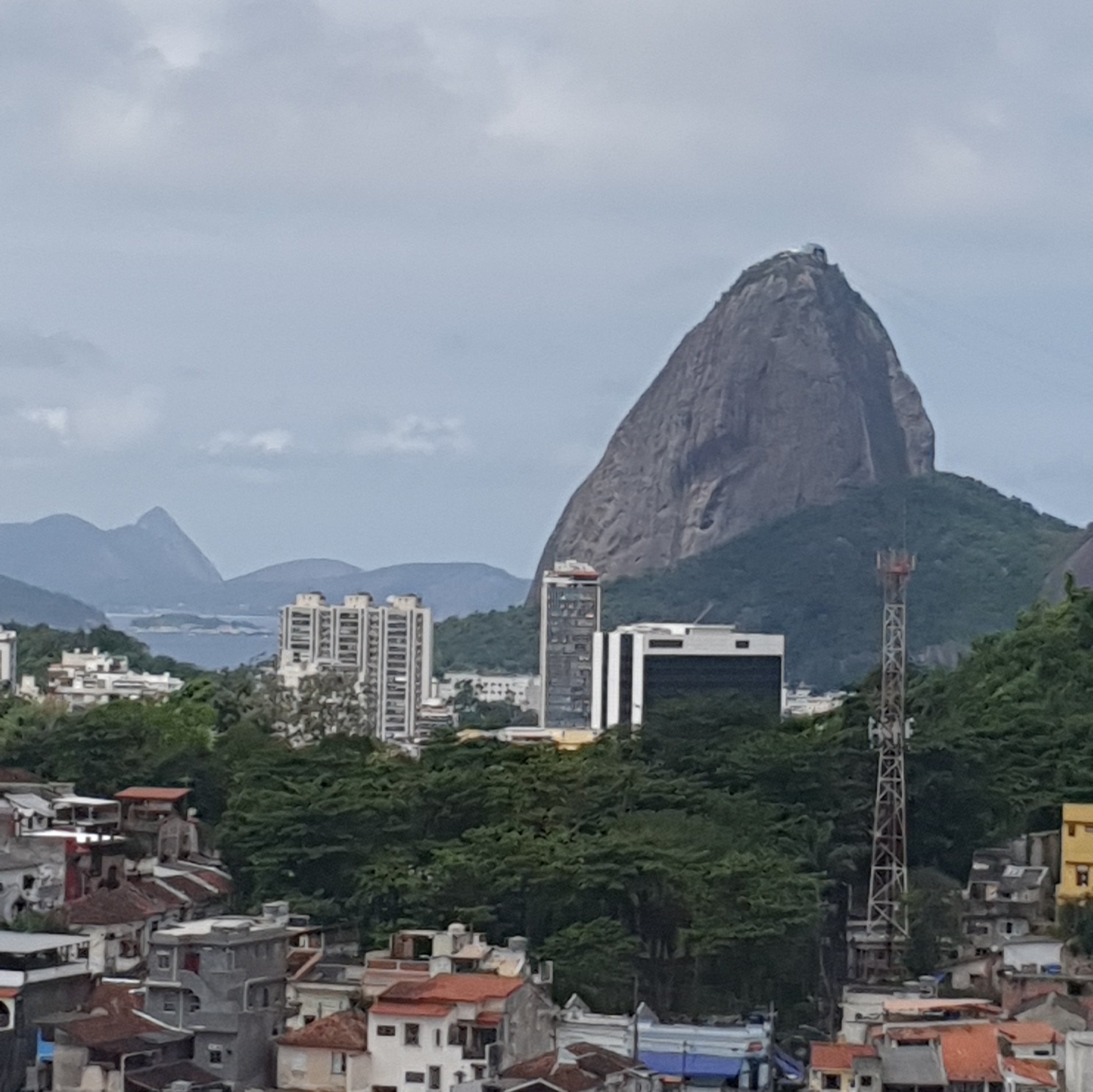20221023_122533.jpg