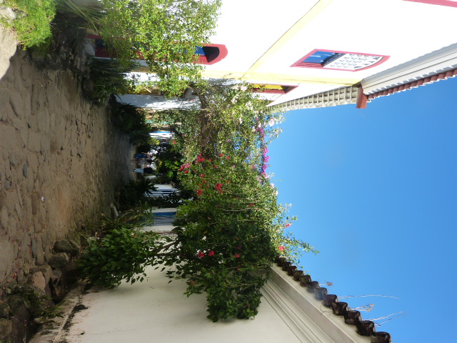 P1110143.JPG