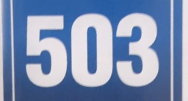Bingo.jpg