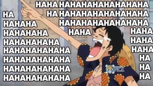 Pj5P3iSu_t.jpg